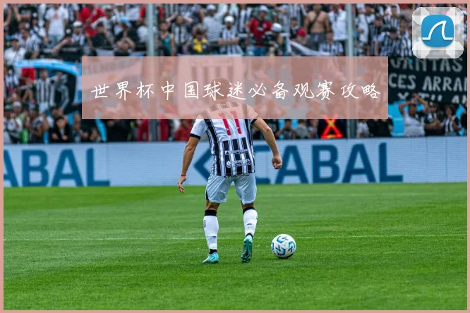 世界杯中国球迷必备观赛攻略