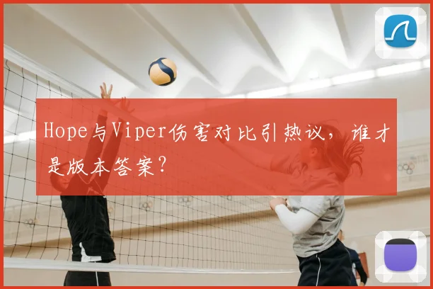 Hope与Viper伤害对比引热议，谁才是版本答案？